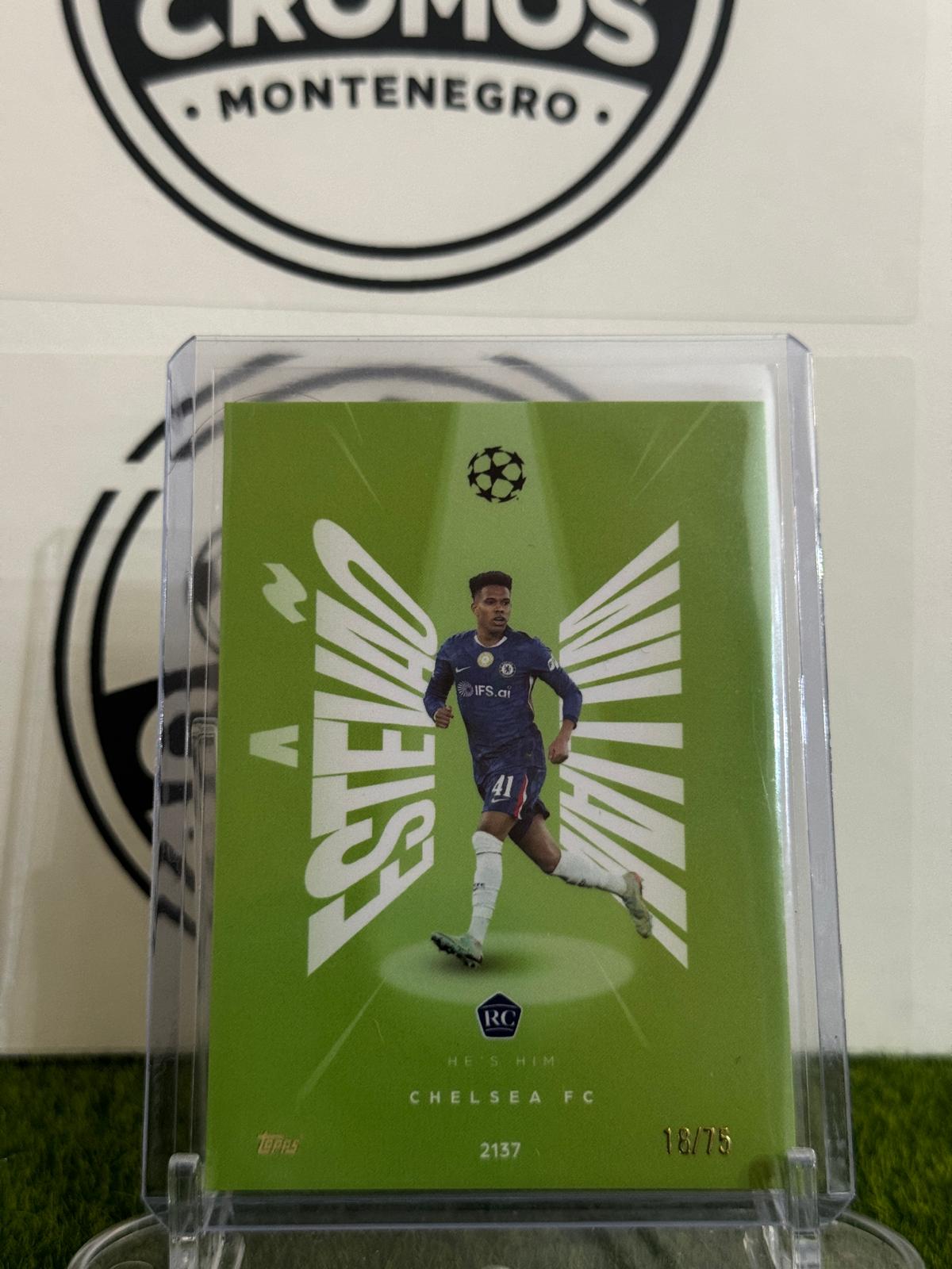 Estêvão Willian He's Him /75